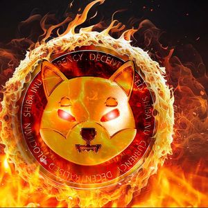 SHIB Burn Rate Springs 456%, Price Reacts by Printing Big Rise