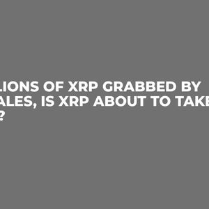 Millions of XRP Grabbed by Whales, Is XRP About to Take Off?