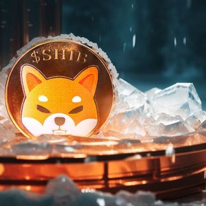 Shiba Inu's December Drama: SHIB Investors Buckle Up for Price Rollercoaster