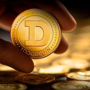 Top Dogecoin Dev Issues Major Warning to DOGE Army
