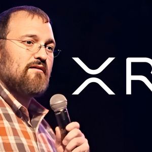 Charles Hoskinson and XRP Community Get In Fight Again, Here's What Happened