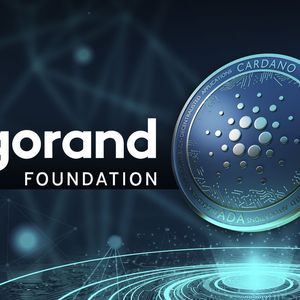 Cardano Layer 2 Protocol Announces Concerning News for Algorand Users