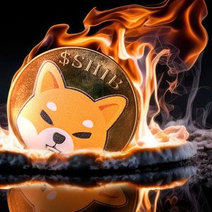 Shiba Inu Sets Fire to Over Half Billion SHIB, Weekly Burn Rate Up 961%