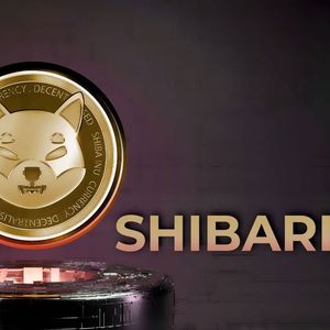 Shiba Inu (SHIB) Lead Dev Ends Speculation on 34 Million Shibarium Transactions
