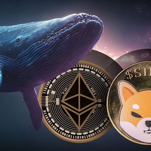 $1.6 Billion Profit Made on SHIB, ETH in One Year by Smart Whale: Details