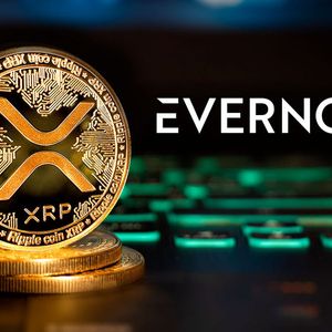 XRP Community: What XRP Holders Need To Know About Evers Airdrop