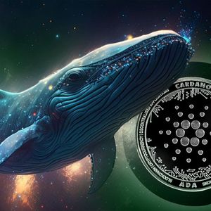 Cardano Witnesses $1.5 Billion Whale Transactions Surge as ADA Price Shines Green