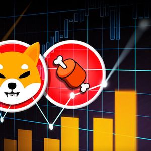 Shiba Inu's BONE Bags New Listing, Shocking Price Reaction Emerges