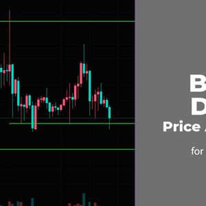 SOL, BONK, and DOGE Price Analysis for December 19