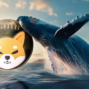 Shiba Inu Eyes Whopping 4.8 Trillion SHIB Flow Into Whale Wallets Overnight