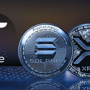 XRP v. Solana Discourse Explored by Flare CEO