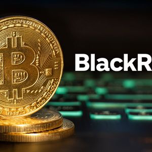 BlackRock Bitcoin Spot ETF Poised for Rapid Launch, Analyst Sparks Speculation