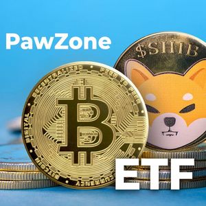 Bitcoin ETF Will Have Tremendous Impact on SHIB Price: PawZone Founder