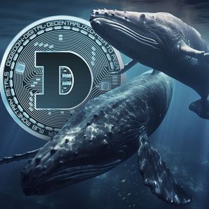Dogecoin (DOGE) Whales Knows What Many Do Not, Intriguing Data Emerges
