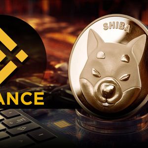 2.28 Trillion Shiba Inu (SHIB) Tokens Moved Out of Binance - What's Happening?