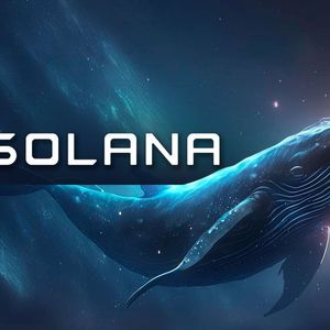 Massive Solana (SOL) Whale Movements Amid 80% Monthly Price Upswing