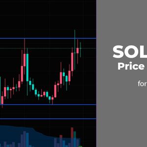 SOL and ETH Price Analysis for December 30