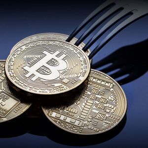 Bitcoin Fork Linked to Self-Proclaimed Satoshi Records Massive Price Spike