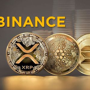XRP, ADA, SOL: Binance Expands Offerings on Investment, What Changed?