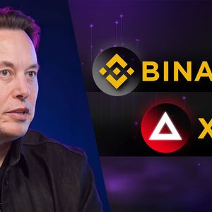 Binance Debuts Token with a Name of Elon Musk's Startup xAI