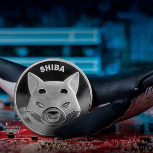 Shiba Inu (SHIB) 700% Whales Activity Surge To Become Lifesaver For Meme