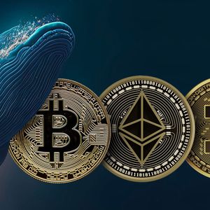 BTC, ETH, DOGE Whales in Spotlight Before Key Decision: What To Watch For