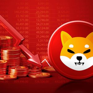 Major SHIB Warning Made by Shiba Inu Rep as Price Plummets 20% Weekly