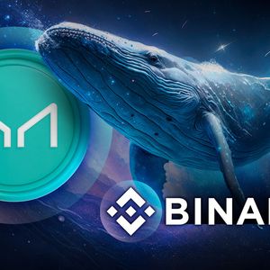 Dormant Crypto Whale Awakens, Shifts 1600 Maker (MKR) to Binance