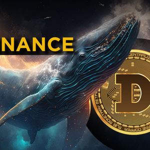Dogecoin (DOGE) Whale Transfers 332.9 Million DOGE to Binance: Details