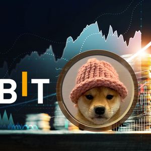Hottest Solana Meme Coin Dogwifhat Achieves Bybit Listing: WIF Price Up 100%