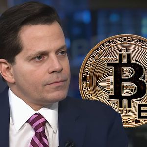 Anthony Scaramucci Shares Strategy for Bitcoin ETF