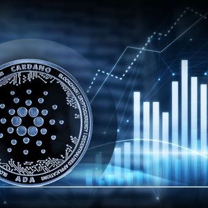 Cardano Soars: Records Remarkable Yearly Growth, Spikes With 24 Million Transactions