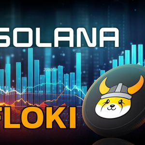 New Solana Meme Coin Upstart Surpasses Floki