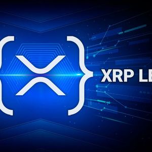 XRP News: XRP Ledger Breaks Major Milestone of 5 Million Accounts