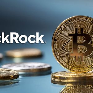 BlackRock's Updated Bitcoin (BTC) Holdings Uncovered, Hold on Tight