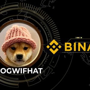 Dogwifhat (WIF) Mysterious Buying Activity Ahead of Binance Listing: What's Happening?