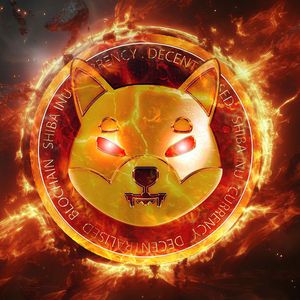 Massive Weekly SHIB Burn Noticed, Still This Metric Goes Terribly Wrong