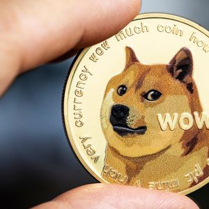Dogecoin Sees Mysterious $14M Transfer from Robinhood