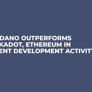 Cardano Outperforms Polkadot, Ethereum in Recent Development Activity
