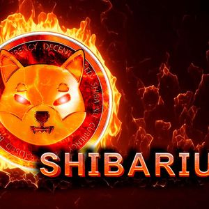 Shibarum Announces New Era in SHIB Burns with Transformative Burning Mechanism