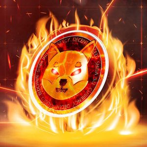 SHIB Burns Skyrocket 4,240% After New Burn Era Kicked Off
