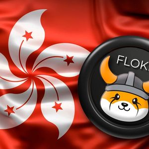 Shiba Inu (SHIB) Rival FLOKI Gets Surprising Blow From Hong Kong's Regulator