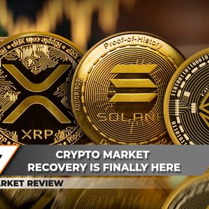 XRP Start Moving Earlier, Solana (SOL) Already Stronger Than Everyone Else. Does Ethereum (ETH) Needs More Fuel?