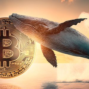 Bitcoin Whales Boost Holdings by $3 Billion