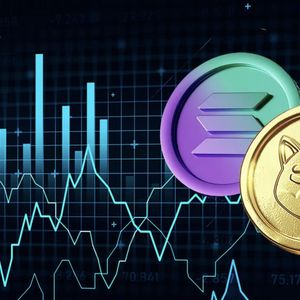 Solana-Based Meme Coin Surges 30% and Surpasses Shiba Inu in Trading Volume