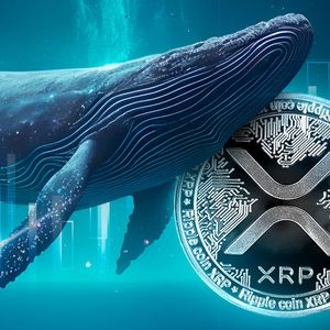 XRP Witnesses Unusual $10 Million Whale Activity