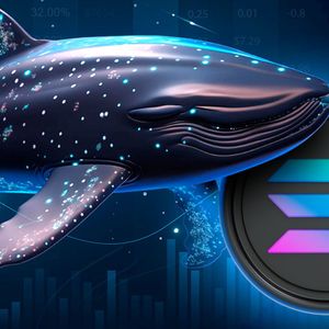 Solana (SOL) Whales Move $82 Million to Unknown Wallets as Price Tumbles