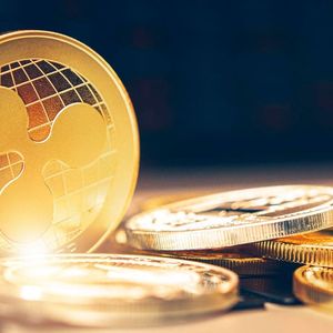 Ripple's Shake-Up Saga: Key Region Director Steps Down
