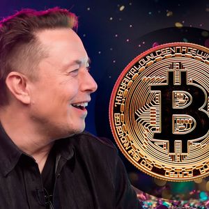 Elon Musk Becomes Bitcoiner - Crypto Community Celebrates 3-Year Anniversary