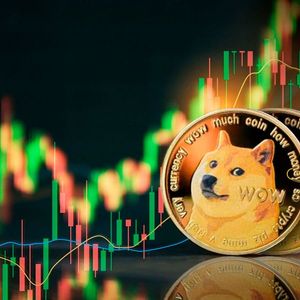 Dogecoin Seems Massive Spike In New Address: Is This Comeback of DOGE?